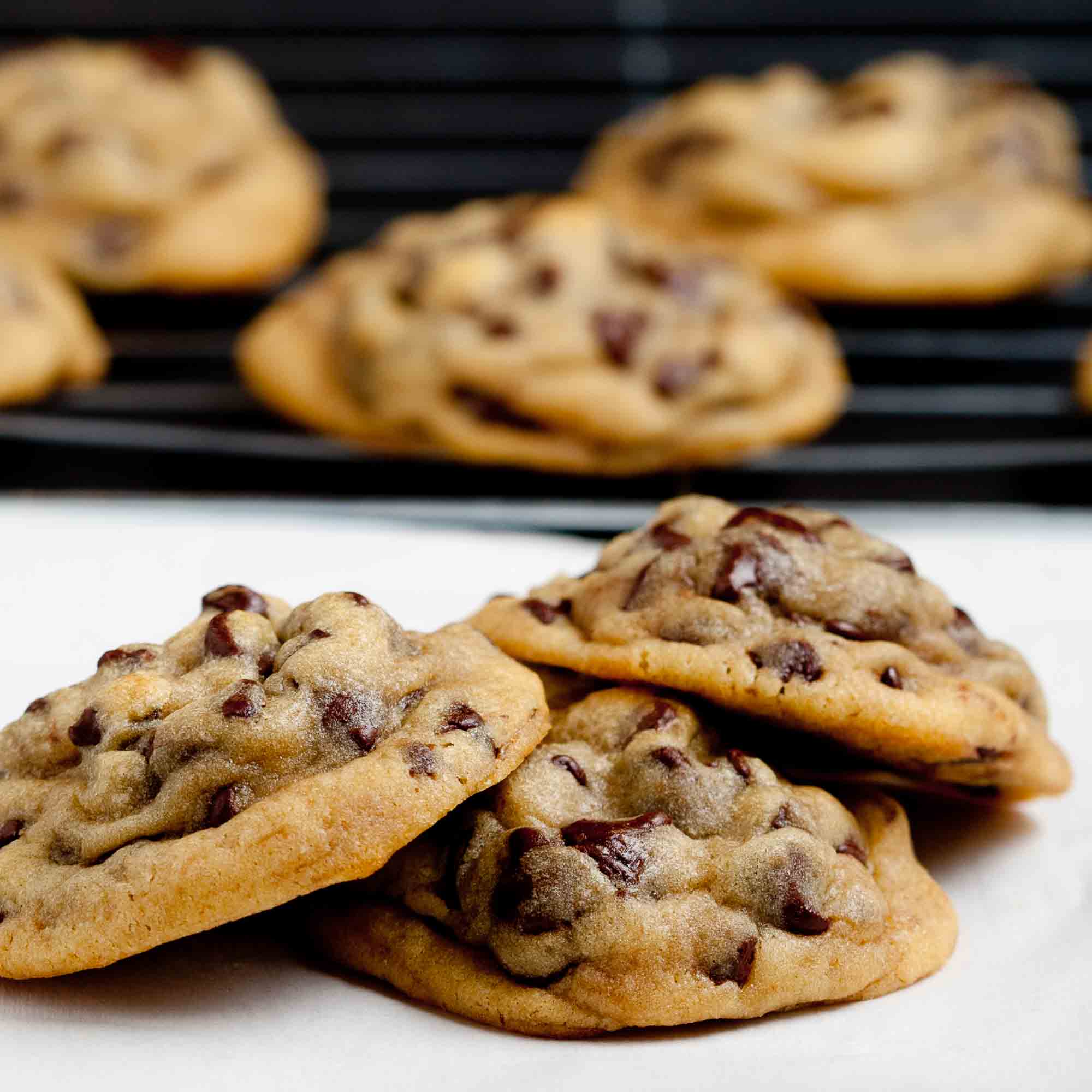 soft chocolate chip cookies on a cookie sheet baked. 
