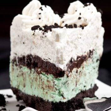 Closeup shot of a slice of mint chocolate chip ice cream cake.