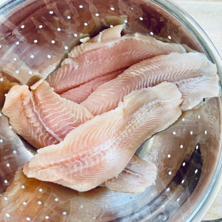 Rockfish fillets being drained to make pan seared rockfish.