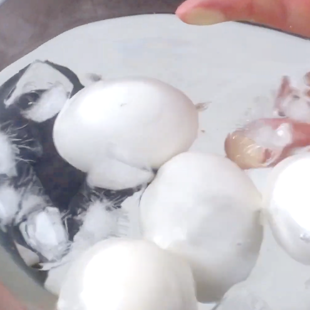 Boiled eggs being transferred to icy water.