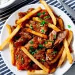 lomo saltado finished dish on white plate.