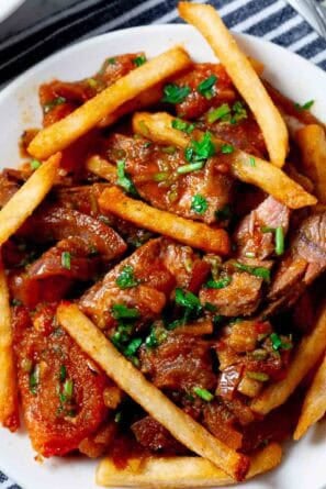 lomo saltado finished dish on white plate.