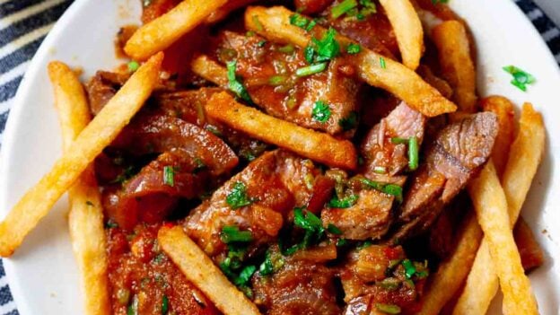 lomo saltado finished dish on white plate.